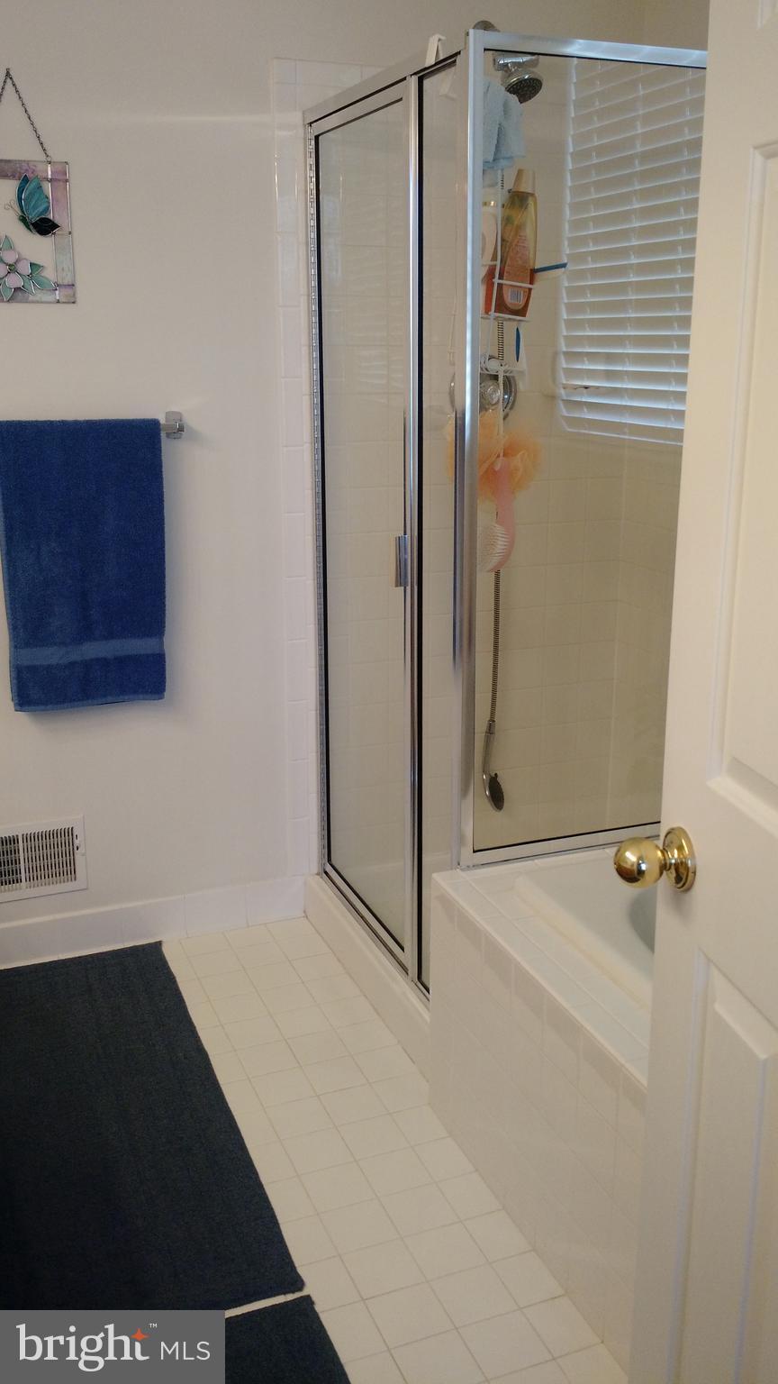 650 Hunters Road Culpeper, VA 22701 - Photo 13 of 22 Bath (Master)