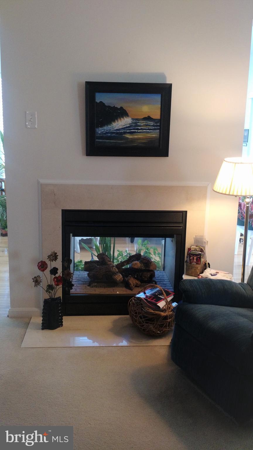 650 Hunters Road Culpeper, VA 22701 - Photo 6 of 22 Double-Sided Gas Fireplace from the Living Room