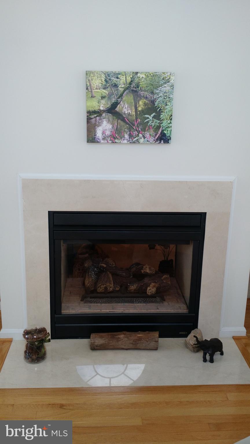 650 Hunters Road Culpeper, VA 22701 - Photo 8 of 22 Sun Room Fireplace