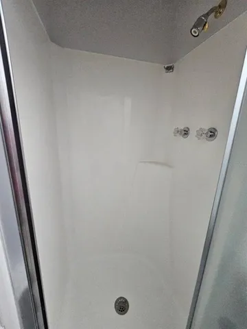 a view of a backyard with large trees