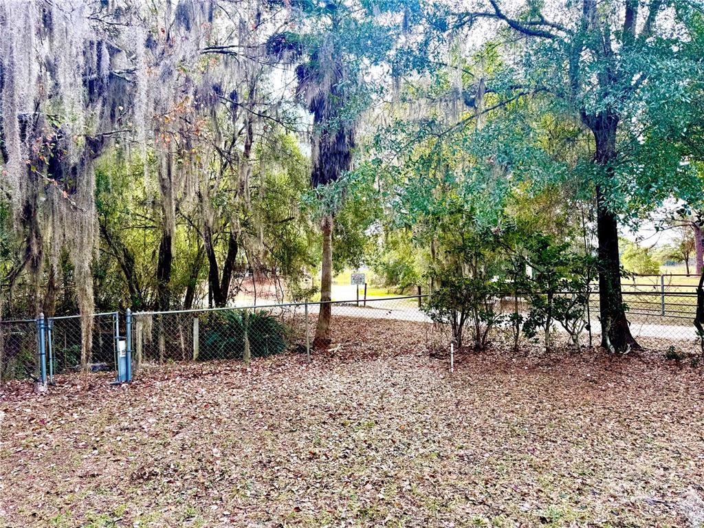 14551 Northeast 210th Court Road Fort McCoy, FL 32134 - Photo 9 of 58