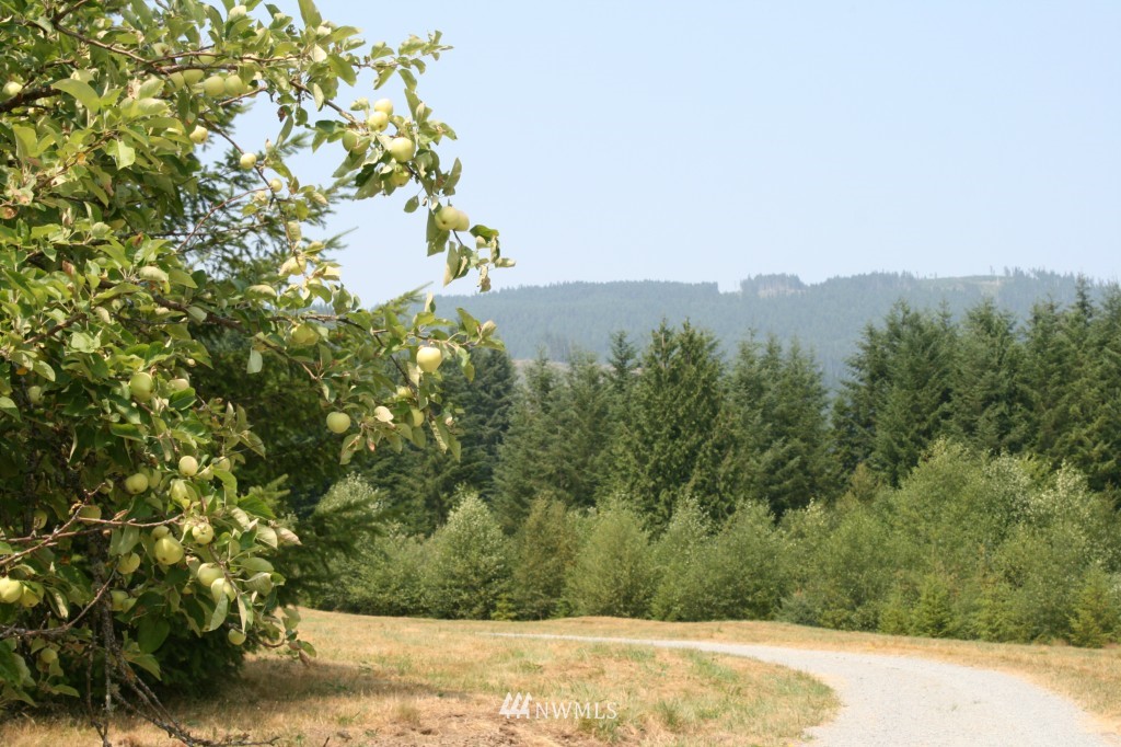 11005 Grandview Road Arlington, WA 98223 - Photo 8 of 25 Gallery Image 8