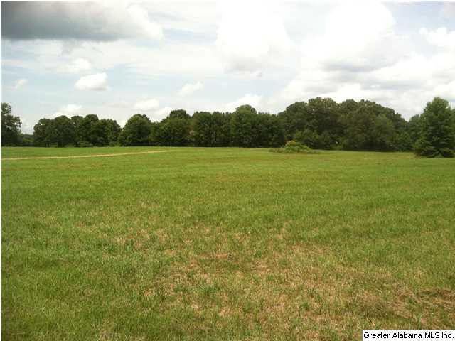 Browning Road, Unit 78 Odenville, AL 35120 - Photo 6 of 18