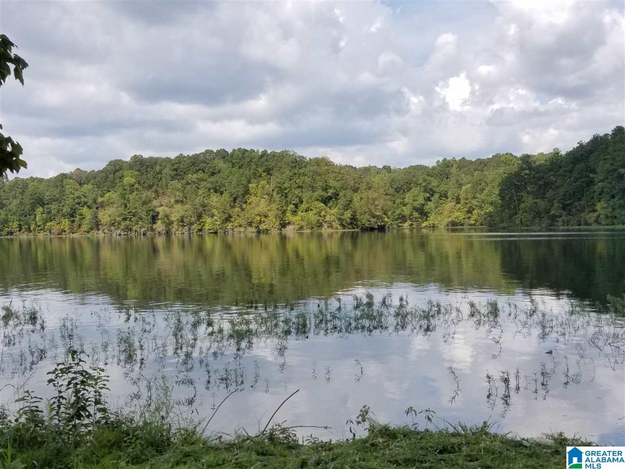 Lot 9 Eagle Mountain Road, Unit 9 Alexander City, AL 35010 - Photo 3 of 13