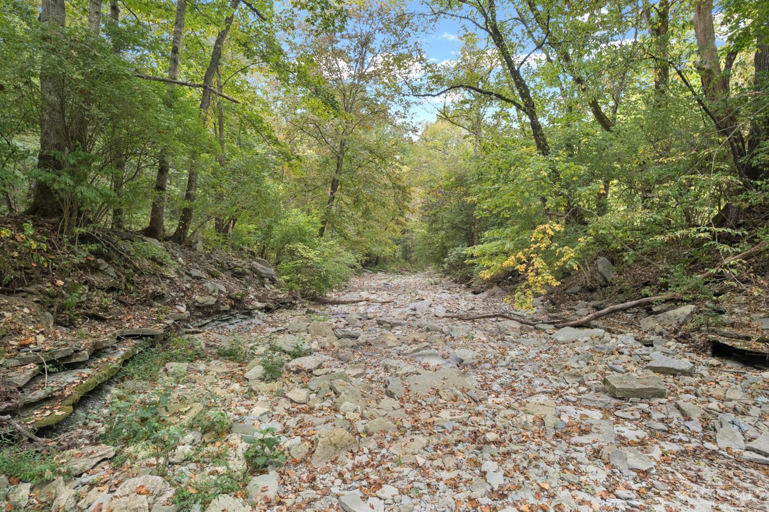 0 Fishing Gut Road Aberdeen, OH 45101 - Photo 4 of 20 Gallery Image 4