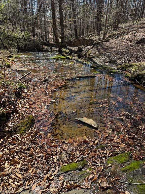 2 Edwards Blackburn Road Elkin, NC 28621 - Photo 24 of 26 Gallery Image 24