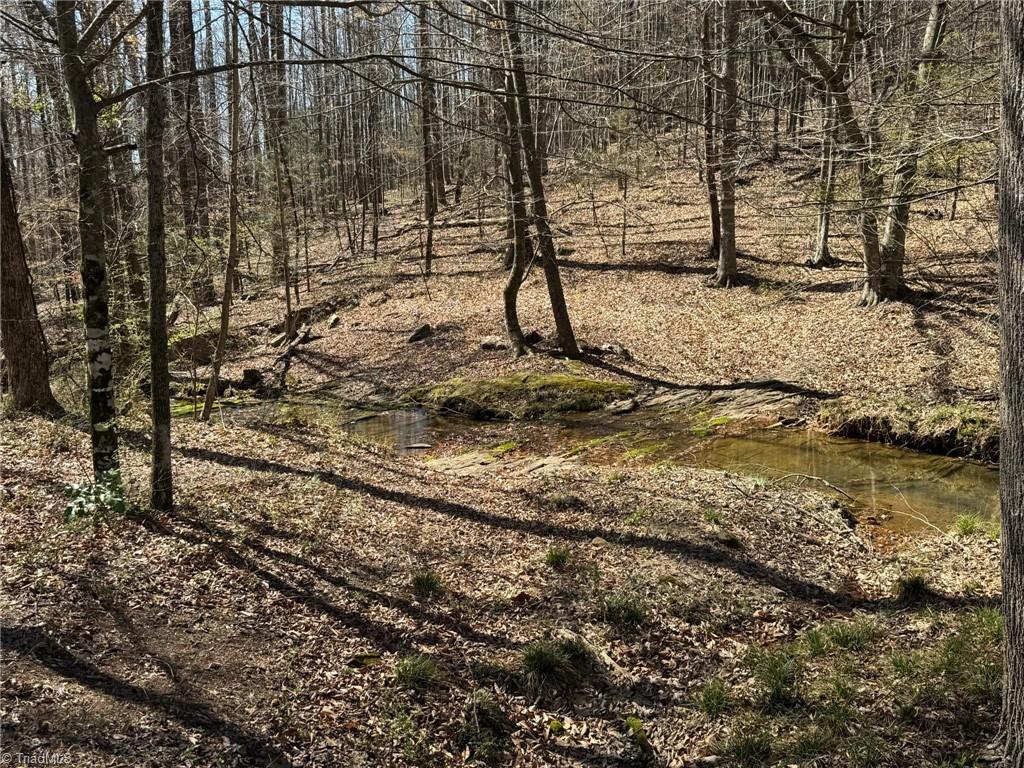 2 Edwards Blackburn Road Elkin, NC 28621 - Photo 25 of 26 Gallery Image 25