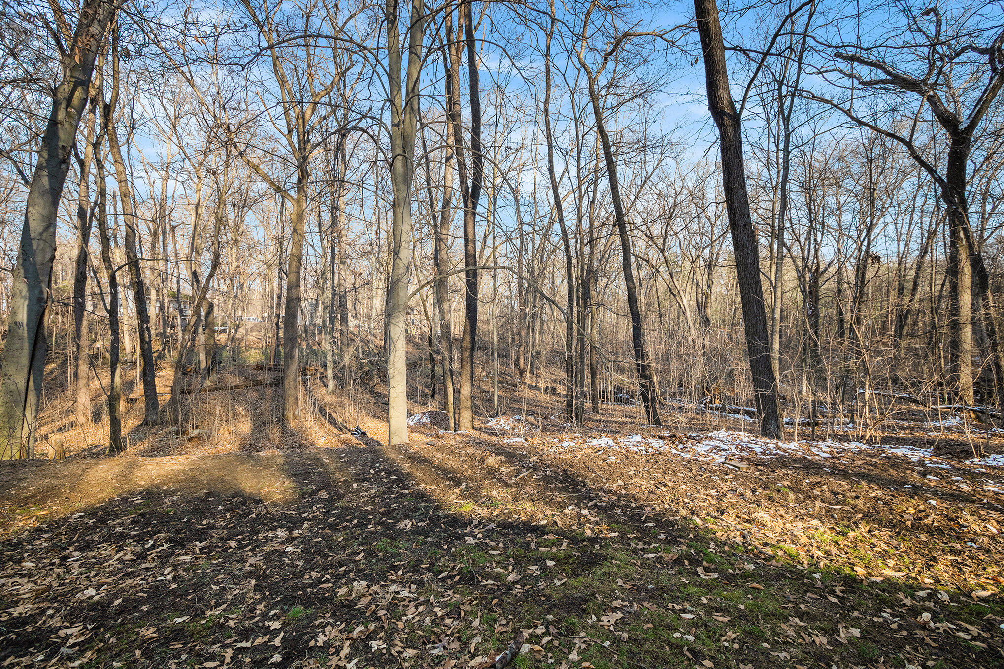 149 Hatfield Road Niles, MI 49120 - Photo 23 of 36 023_img_6021