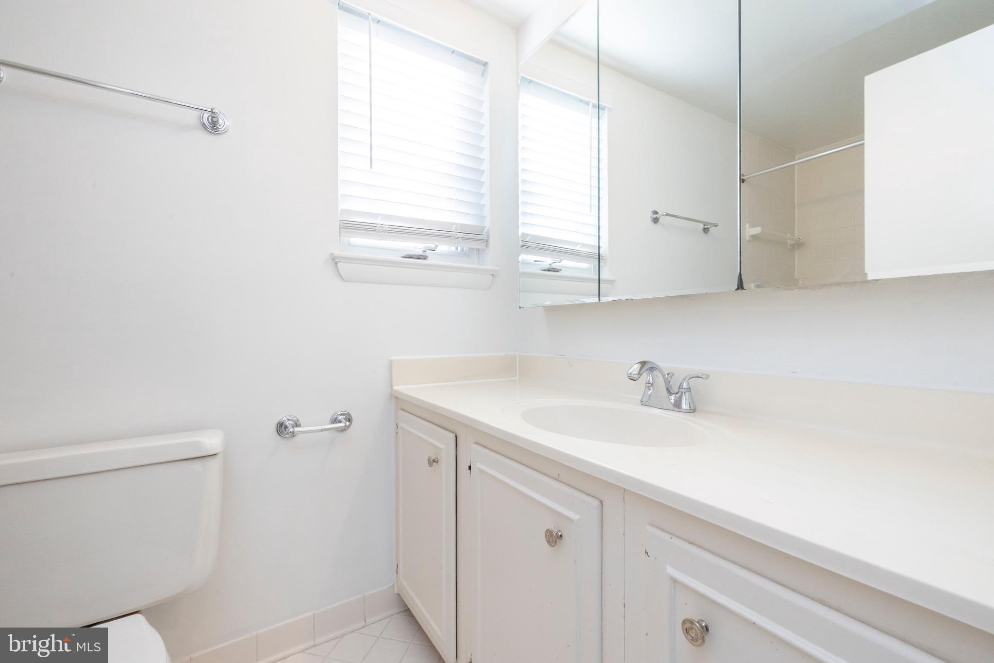 12265 Greenleaf Avenue Potomac, MD 20854 - Photo 19 of 25 a bathroom with a sink a toilet and a mirror