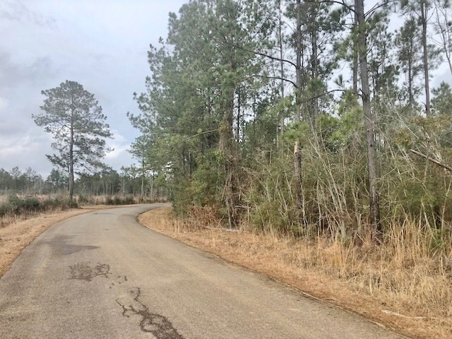 0 West Topisaw Road South Tylertown, MS 39667 - Photo 10 of 11 Photo 10