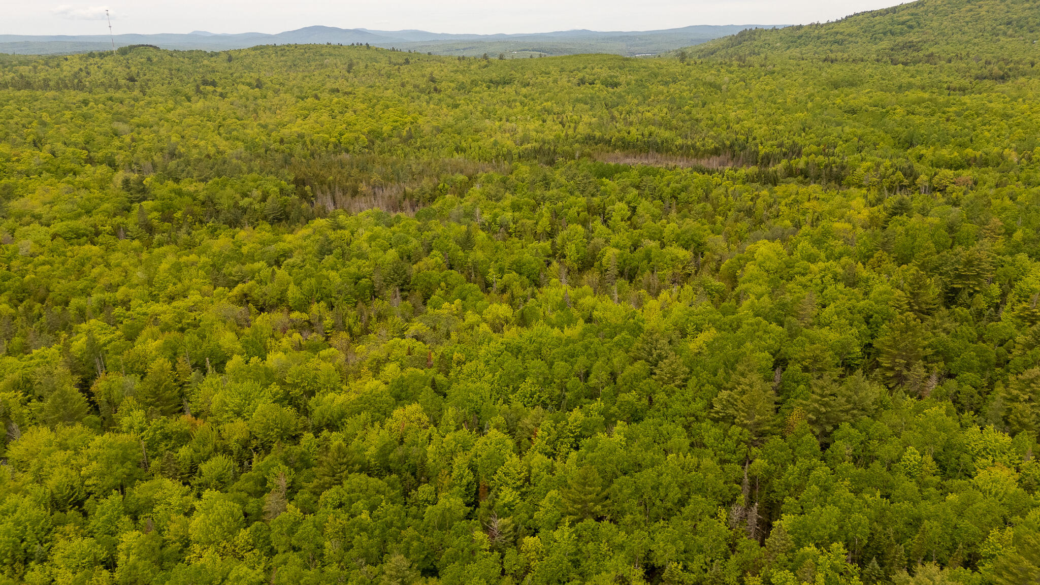 M5-l28 Cemetery Road Guilford, ME 04443 - Photo 48 of 58 DJI_20260602111956_0474_D