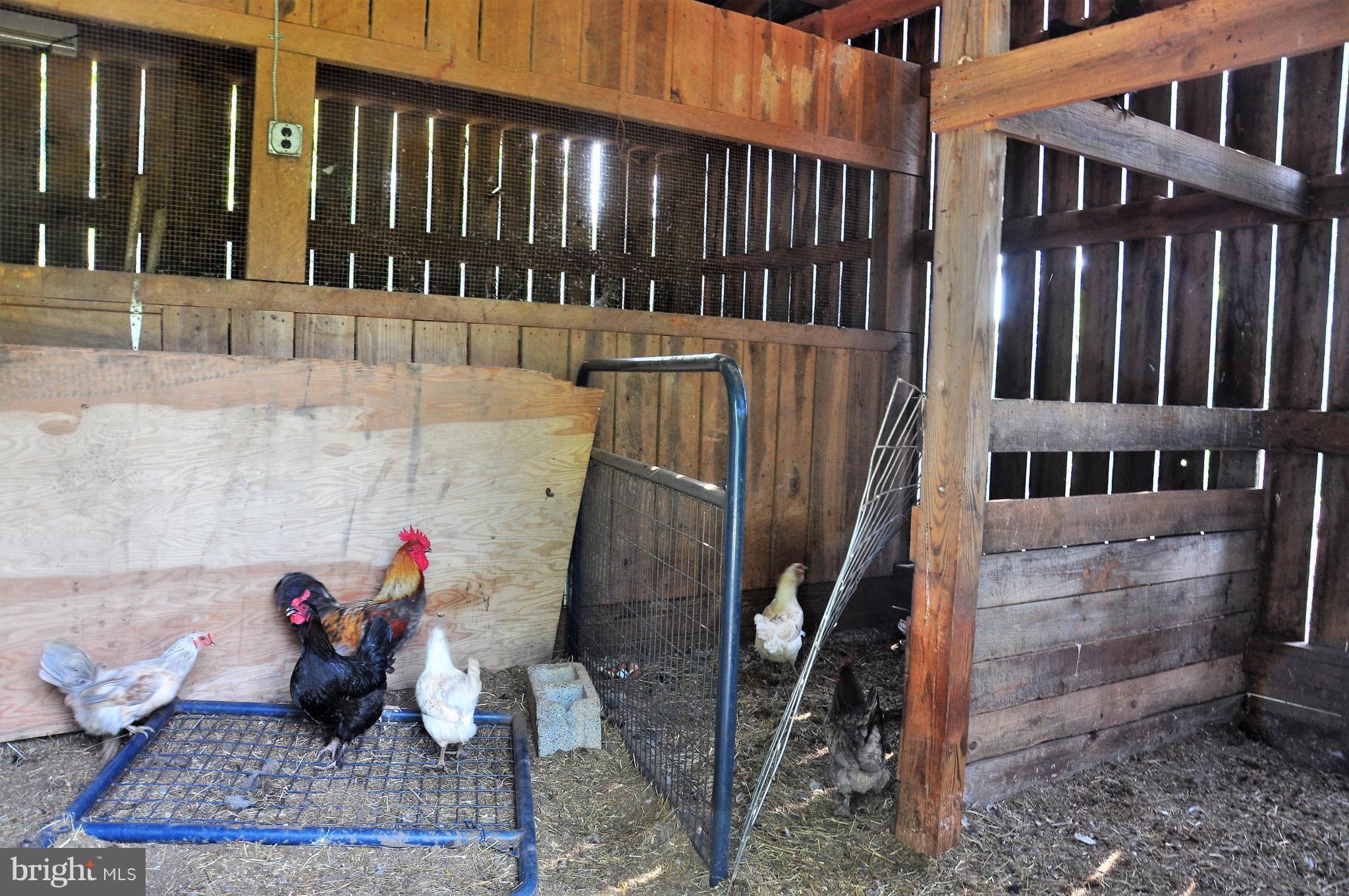6108 Sumerduck Road Remington, VA 22734 - Photo 16 of 25 Stable Interior (Used as a second chicken coop)