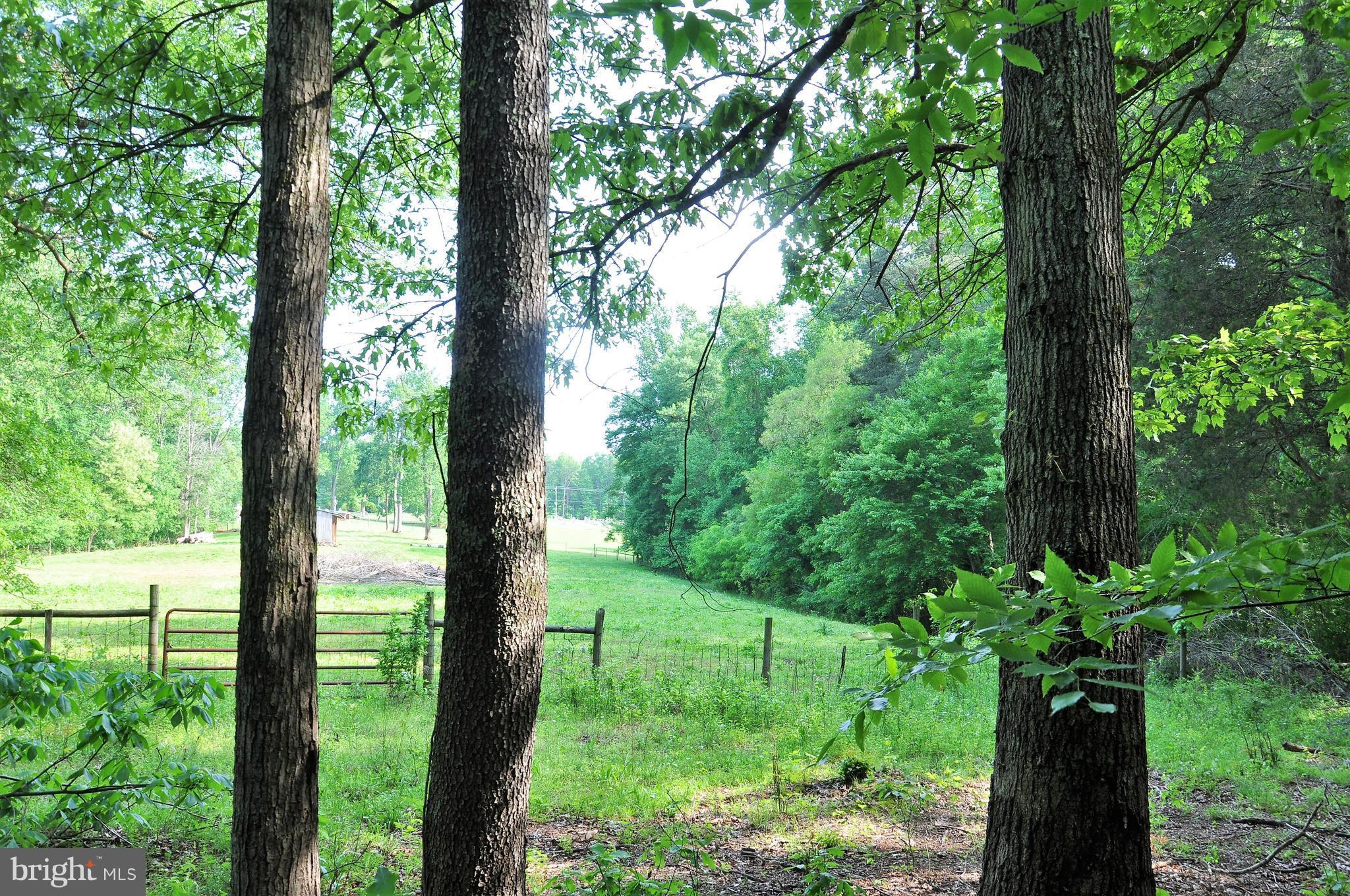 6108 Sumerduck Road Remington, VA 22734 - Photo 23 of 25 Woods Surround the Property