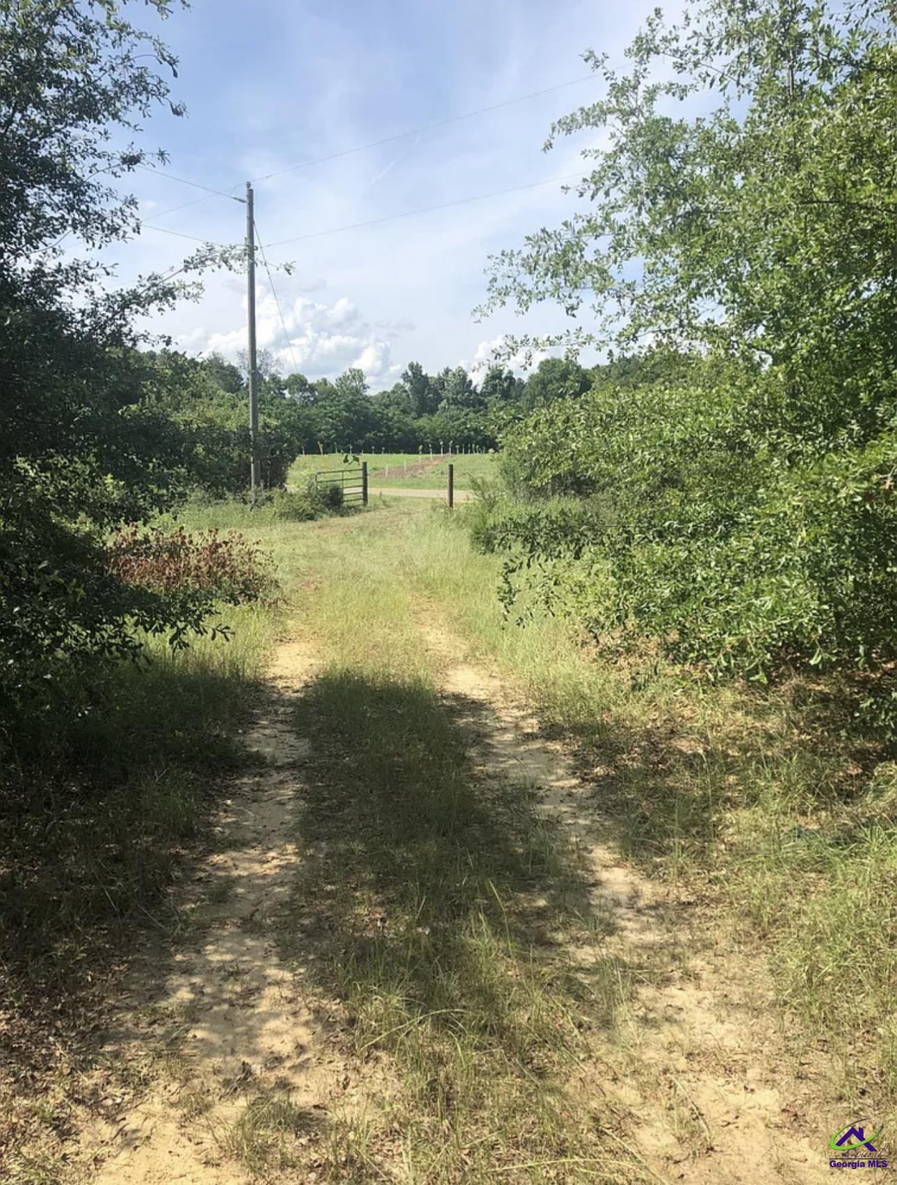 222 Holt Road Hawkinsville, GA 31036 - Photo 7 of 10