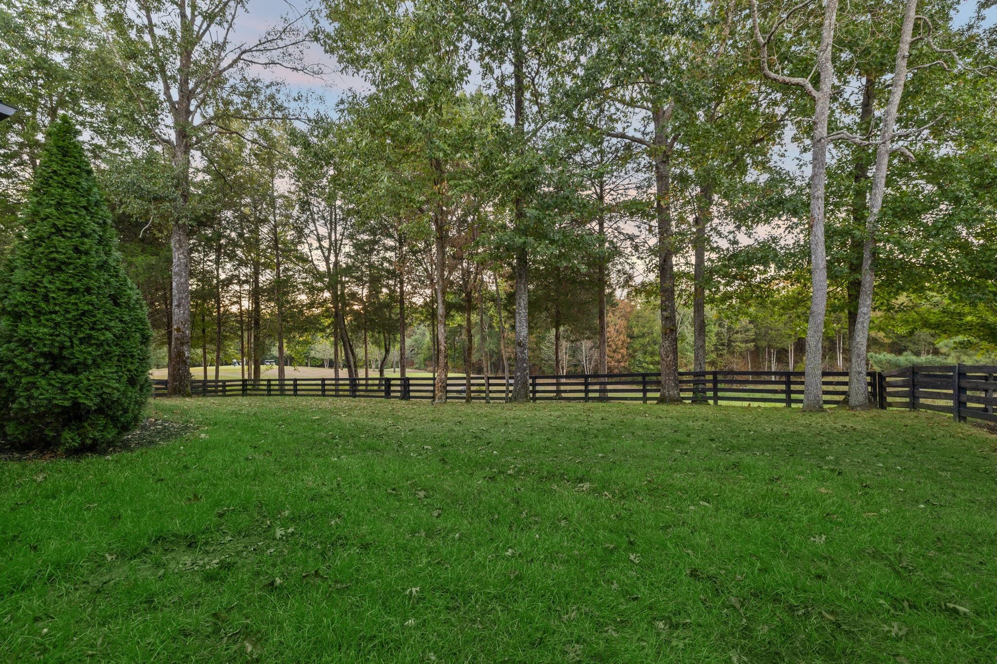 7551 Whiskey Road College Grove, TN 37046 - Photo 95 of 100 Gallery Image 95