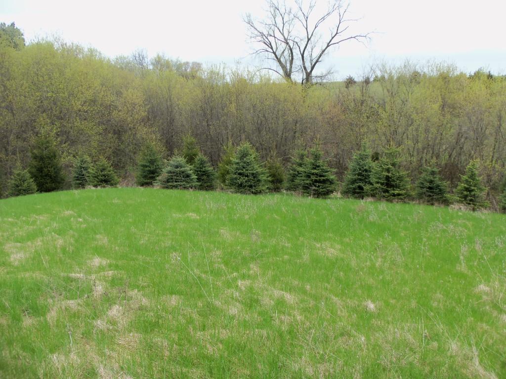 0 Cty Street Prescott, WI 54021 - Photo 1 of 1 Gallery Image 1