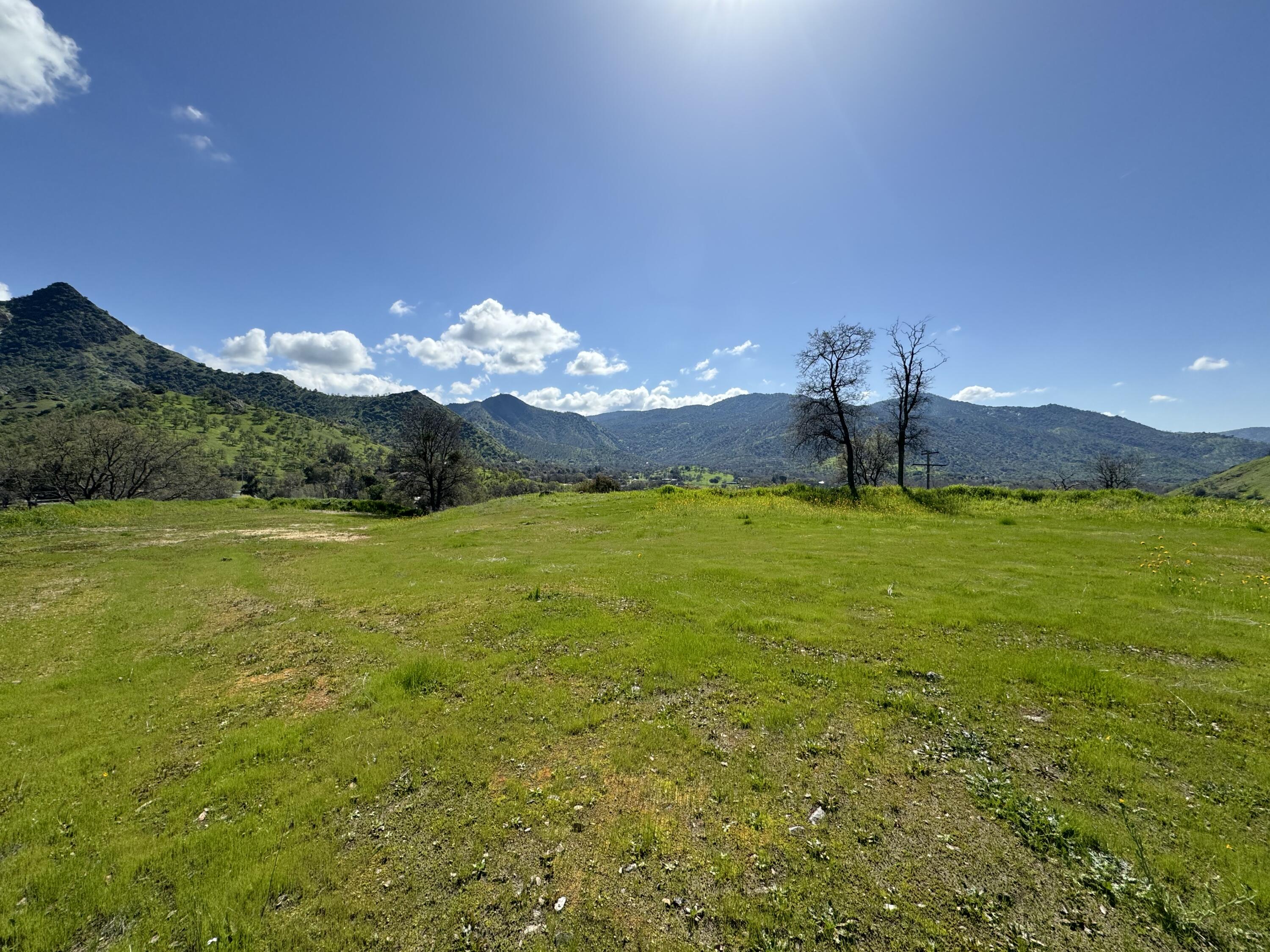 41333 Sierra Drive Three Rivers, CA 93271 - Photo 9 of 42 IMG_0485 2