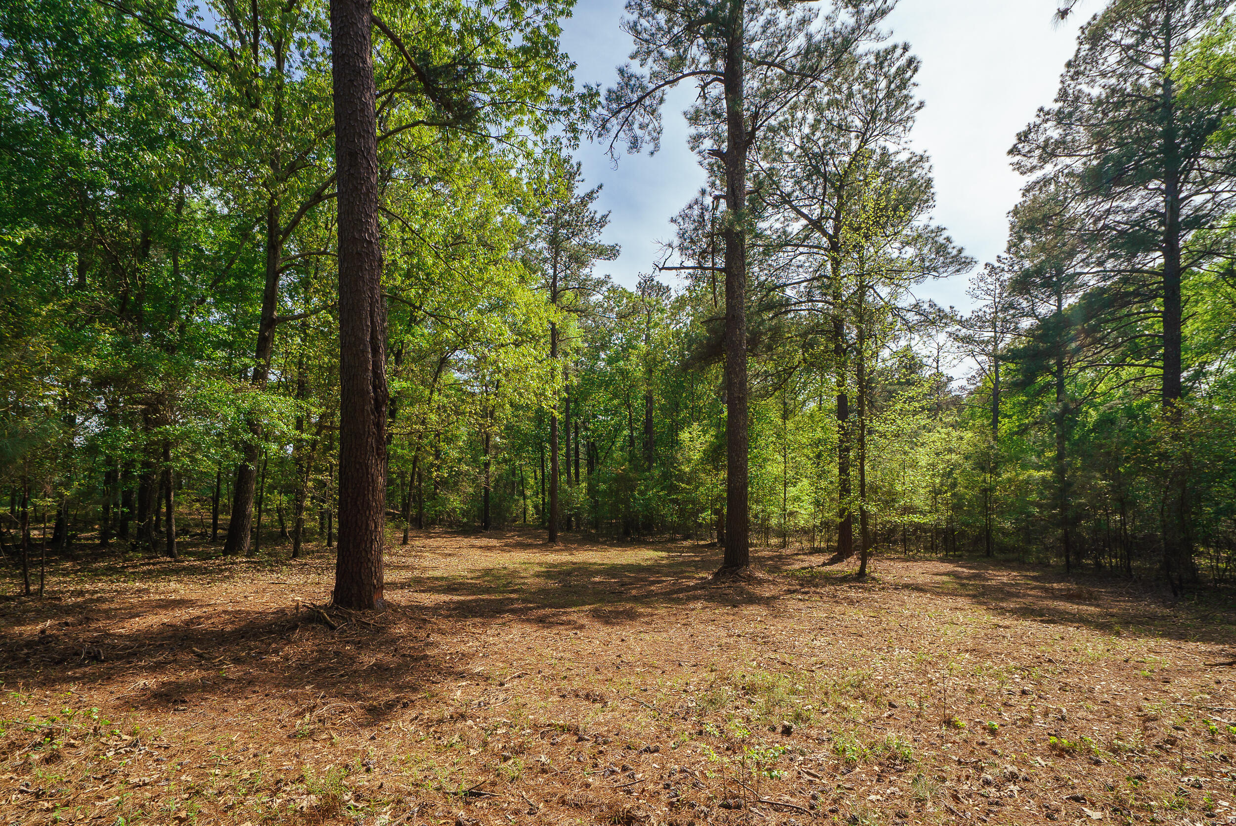 Lot 3 Banks Mill Road Southeast Aiken, SC 29803 - Photo 41 of 42