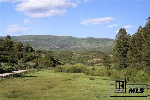 13293 County Road 252, Unit MEEKER Rifle, CO 81641 - Photo 2 of 20