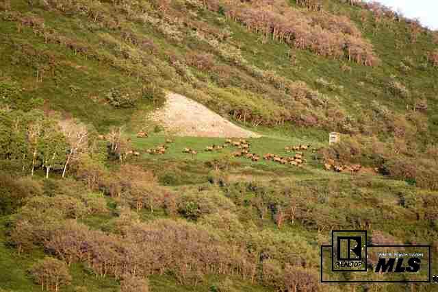 13293 County Road 252, Unit MEEKER Rifle, CO 81641 - Photo 11 of 20