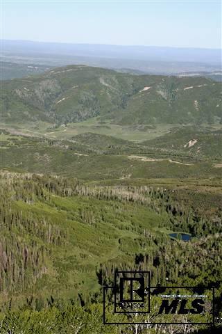 13293 County Road 252, Unit MEEKER Rifle, CO 81641 - Photo 14 of 20