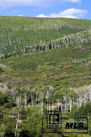 13293 County Road 252, Unit MEEKER Rifle, CO 81641 - Photo 19 of 20