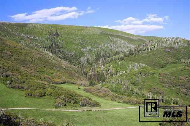 13293 County Road 252, Unit MEEKER Rifle, CO 81641 - Photo 3 of 20