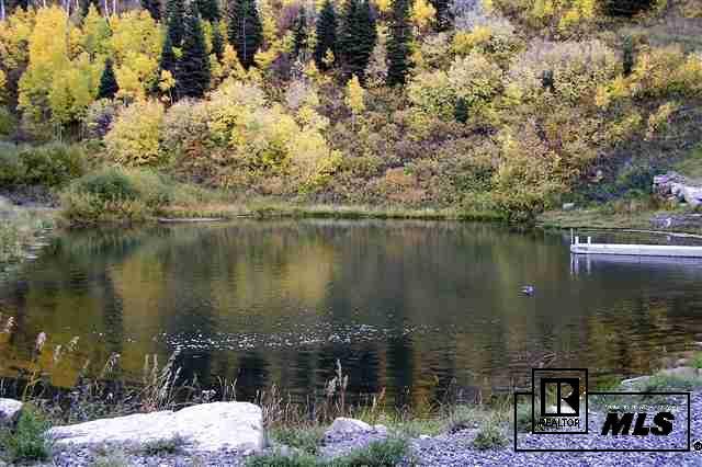13293 County Road 252, Unit MEEKER Rifle, CO 81641 - Photo 6 of 20
