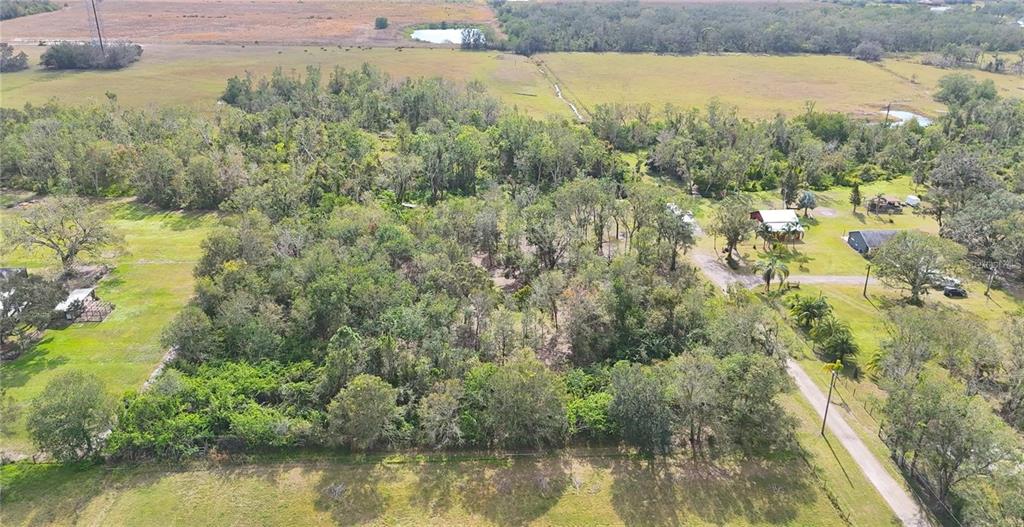 16678 Water Line Srv Road Bradenton, FL 34212 - Photo 5 of 10