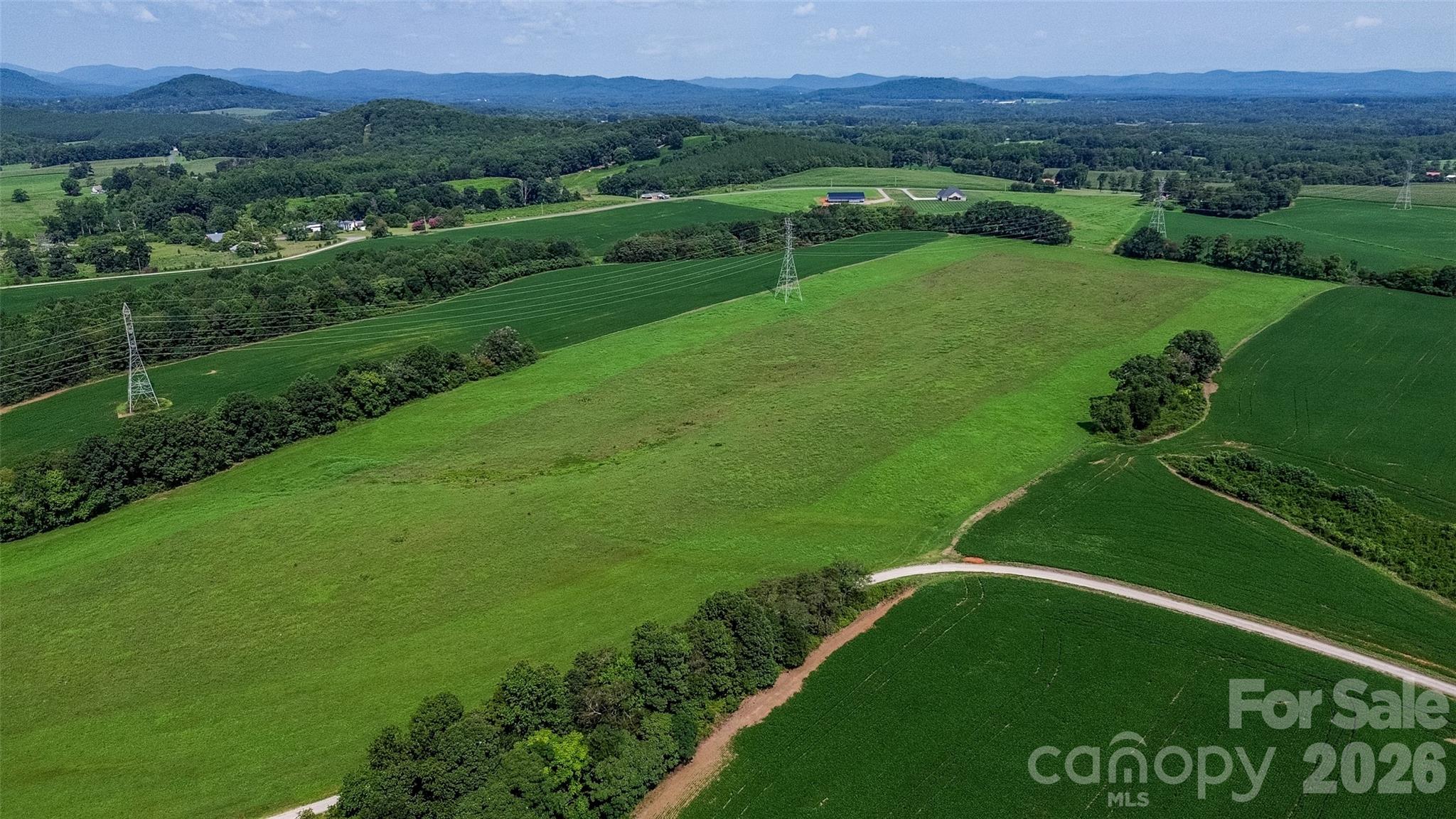 40-ac Amble Road Olin, NC 28660 - Photo 8 of 29 Gallery Image 8