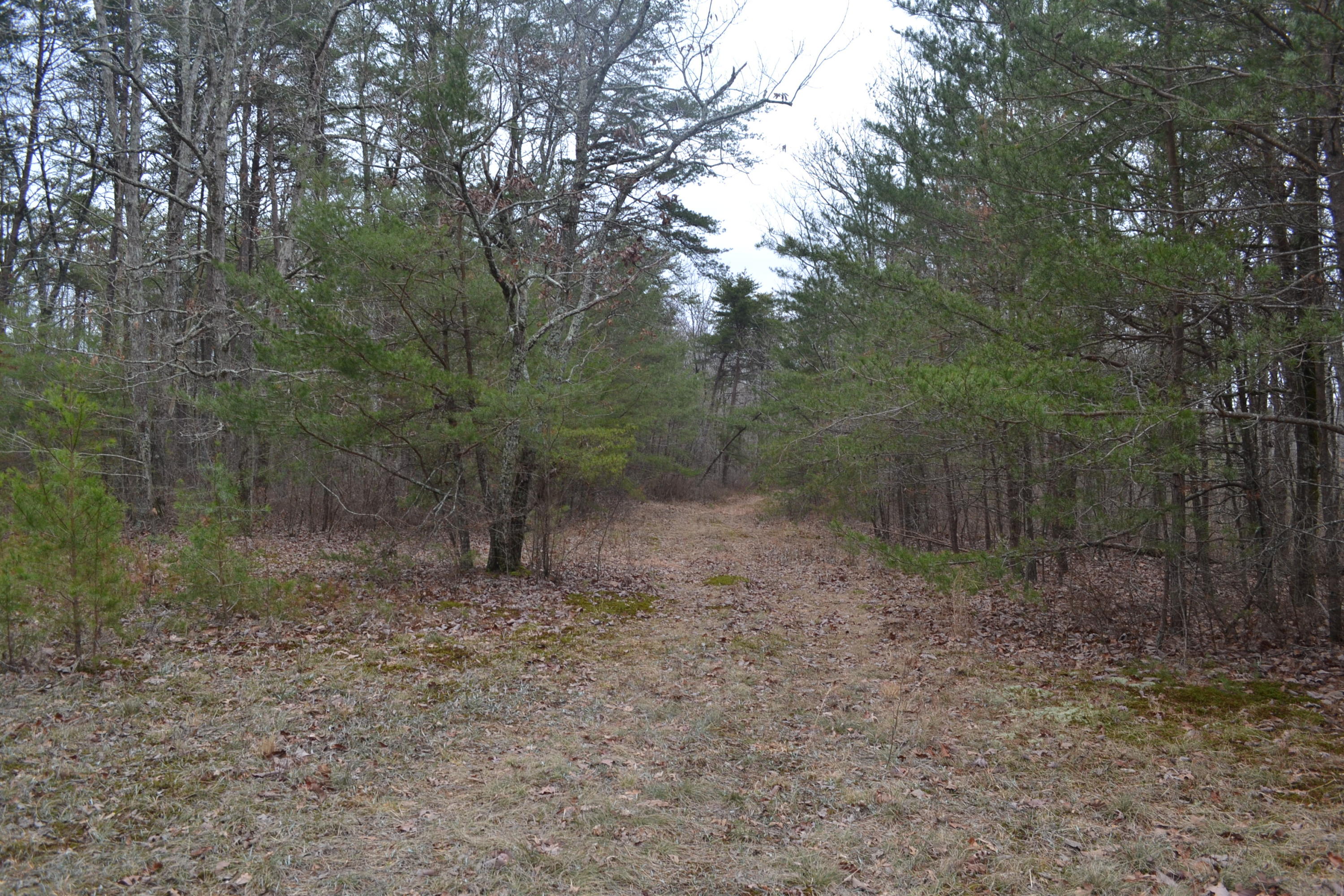 18-ac Window Rock Road Dunlap, TN 37327 - Photo 2 of 26 Hon 224 ac_2587Hon 224 ac