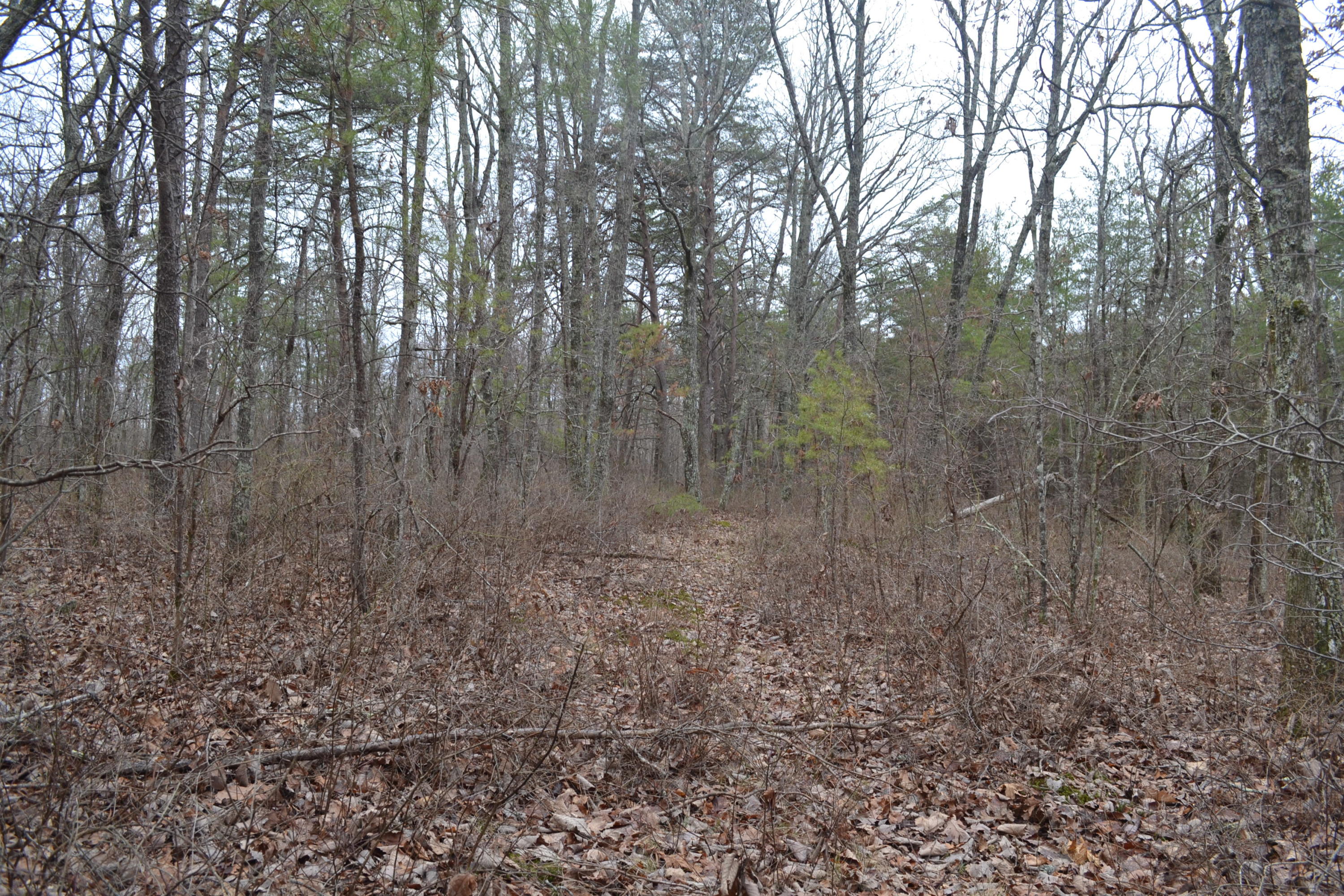 18-ac Window Rock Road Dunlap, TN 37327 - Photo 21 of 26 Hon 224 ac_2605Hon 224 ac