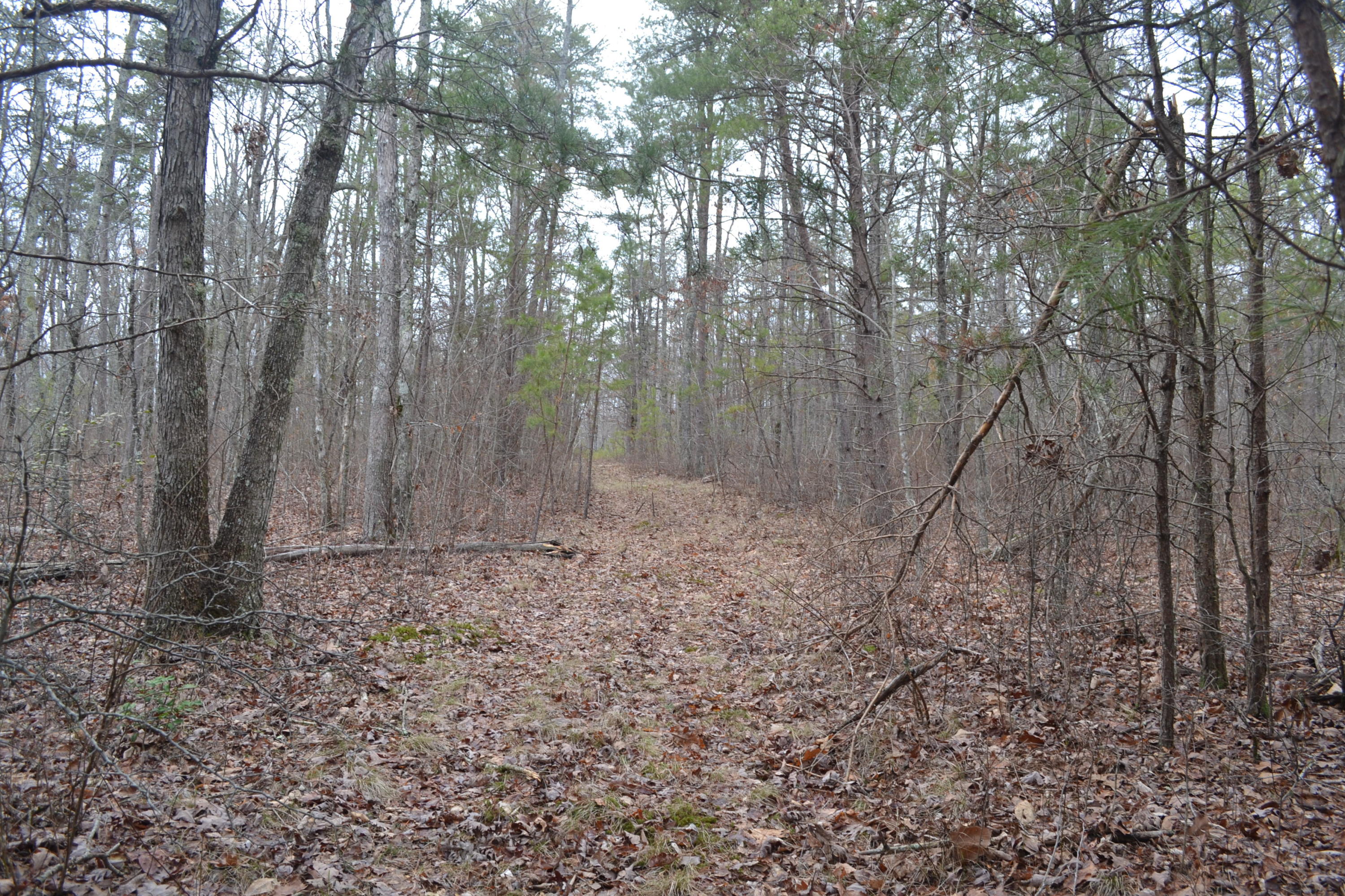 18-ac Window Rock Road Dunlap, TN 37327 - Photo 26 of 26 Hon 224 ac_2610Hon 224 ac