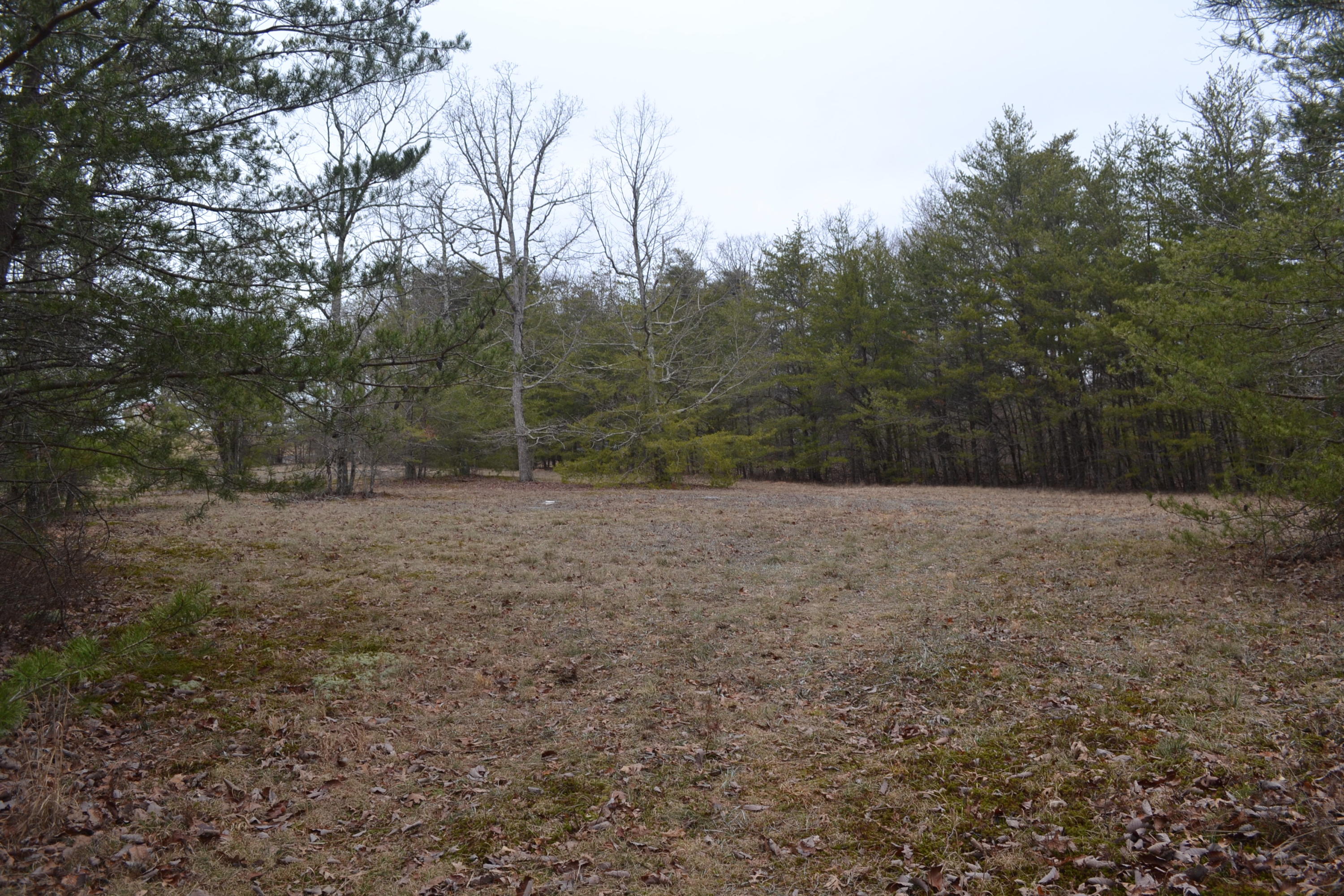 18-ac Window Rock Road Dunlap, TN 37327 - Photo 4 of 26 Hon 224 ac_2589Hon 224 ac
