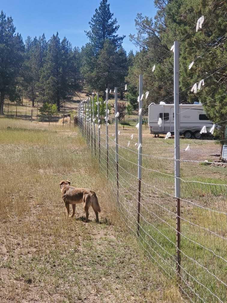 17703 Fishhole Creek Road Bly, OR 97622 - Photo 18 of 34 IMG-20260330-WA0007