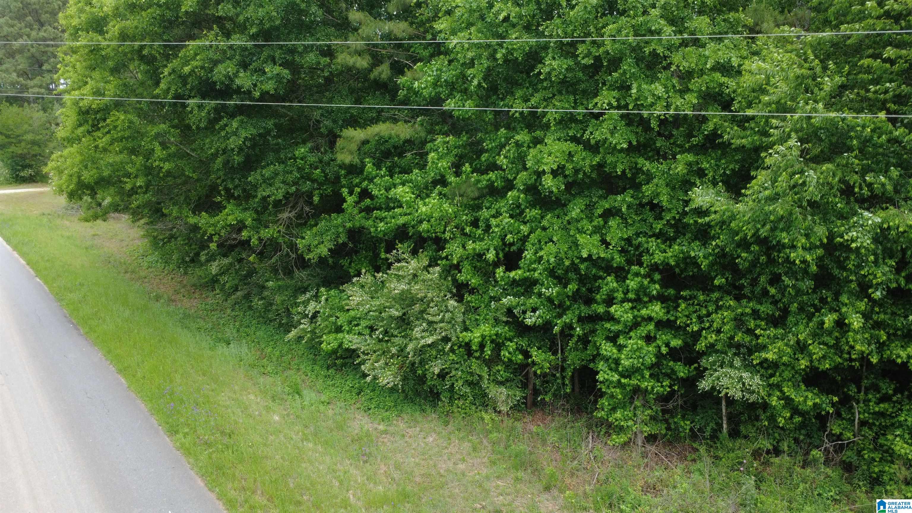 Unkn Highland Road, Unit 9 1 ACRES Lineville, AL 36266 - Photo 5 of 6