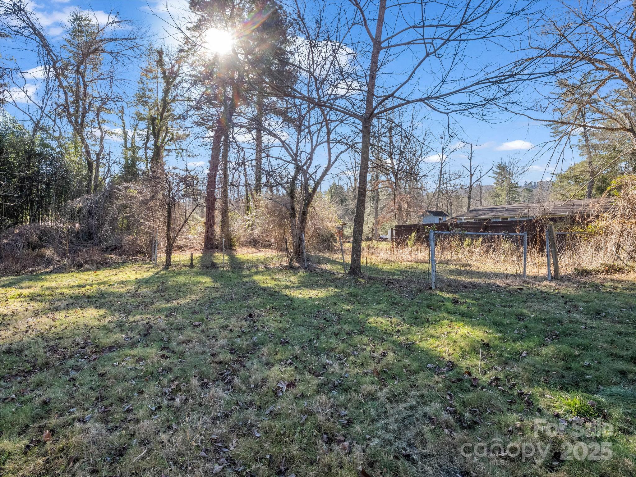 541 Broadway Street Hendersonville, NC 28739 - Photo 11 of 37 a view of a yard with a tree