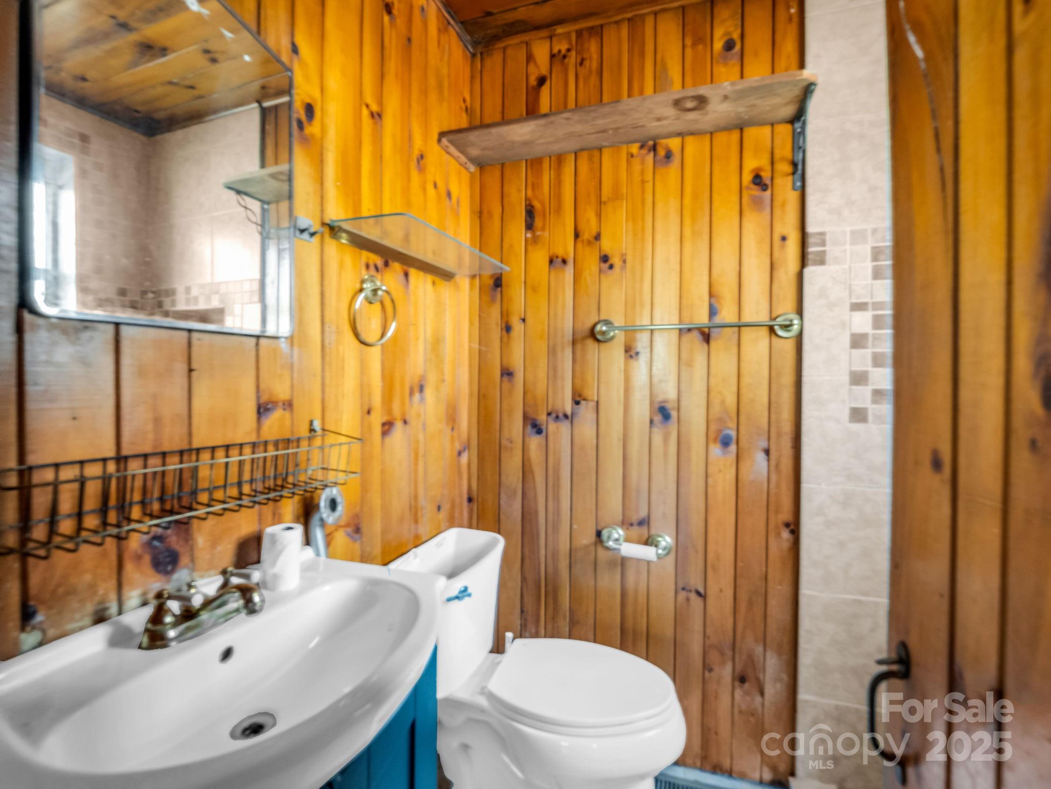 541 Broadway Street Hendersonville, NC 28739 - Photo 27 of 37 a bathroom with a sink a toilet and shower curtain