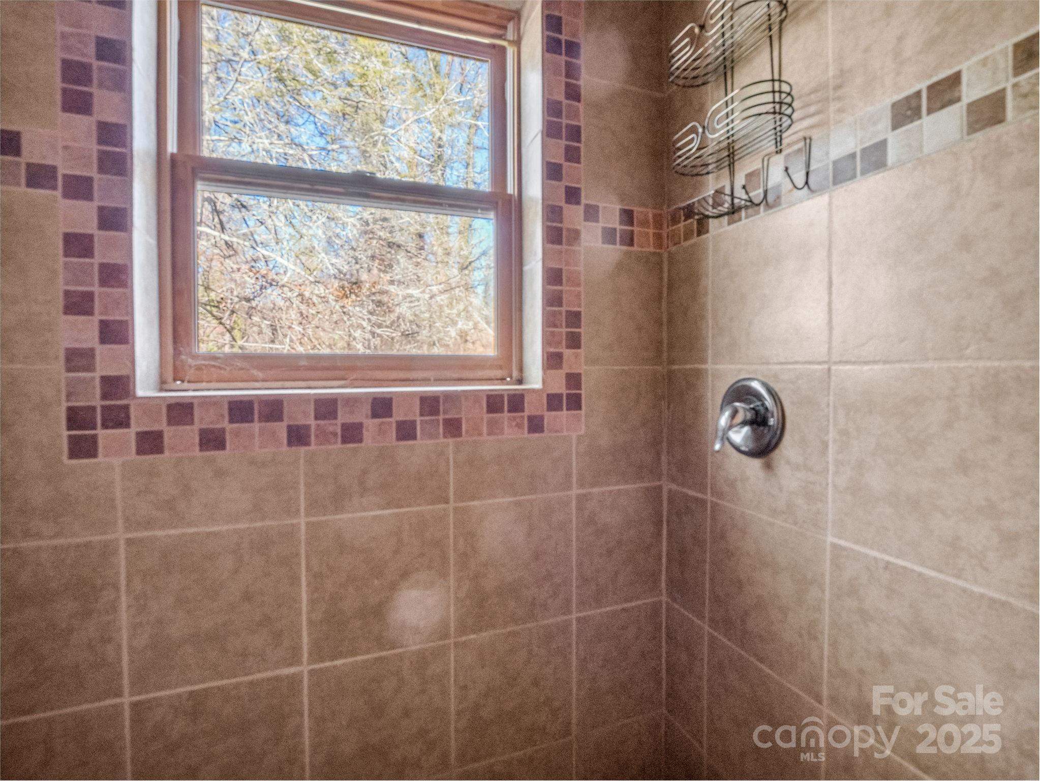 541 Broadway Street Hendersonville, NC 28739 - Photo 28 of 37 a bathroom with a shower