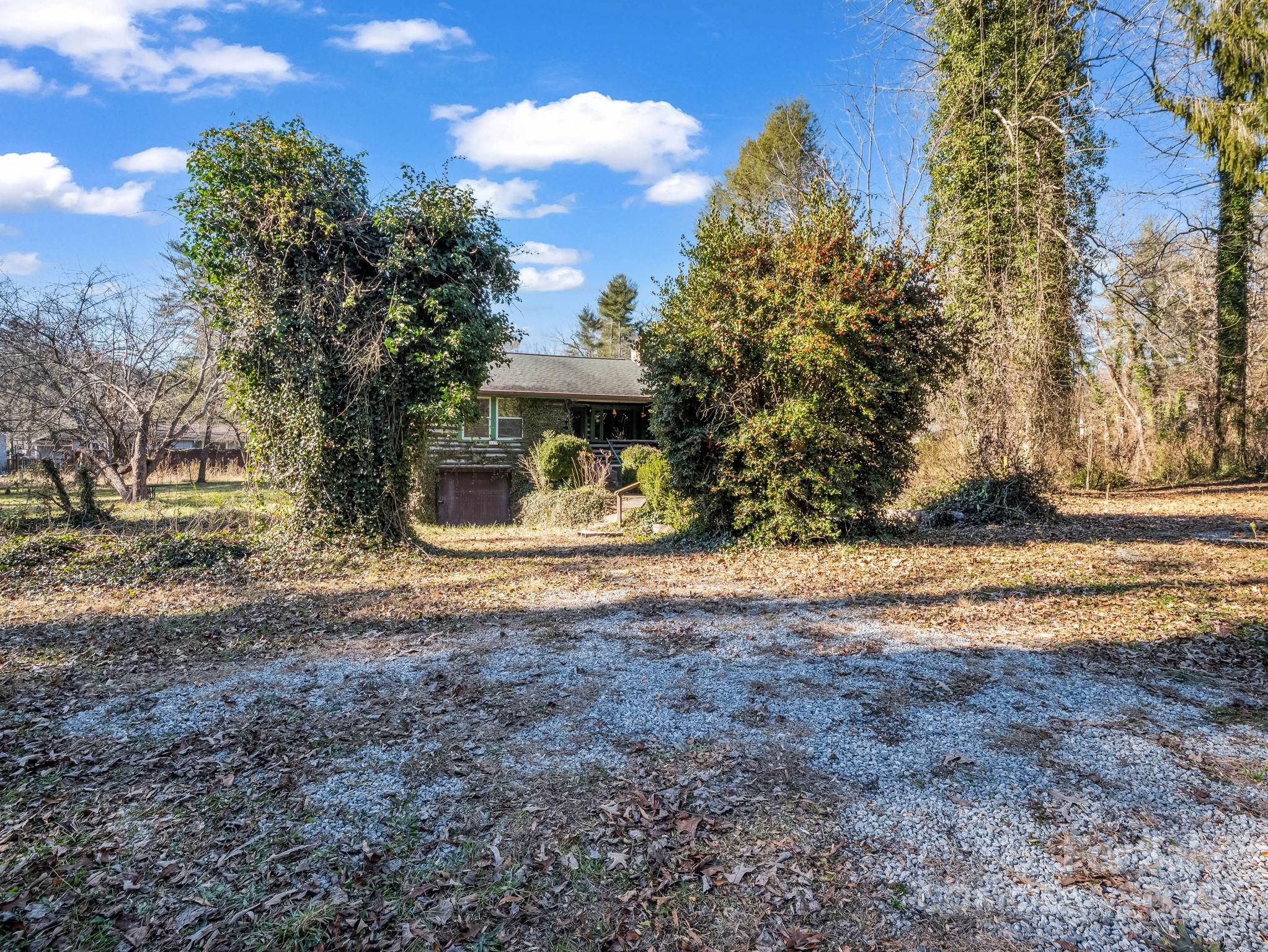 541 Broadway Street Hendersonville, NC 28739 - Photo 36 of 37 a view of outdoor space with trees all around