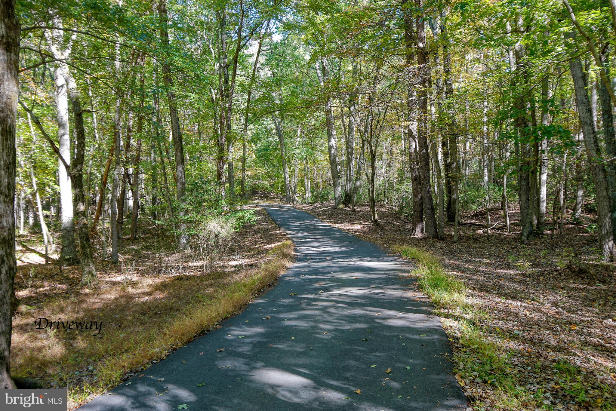 699 Shady Beach Road North East, MD 21901 - Photo 47 of 51 Gallery Image 47
