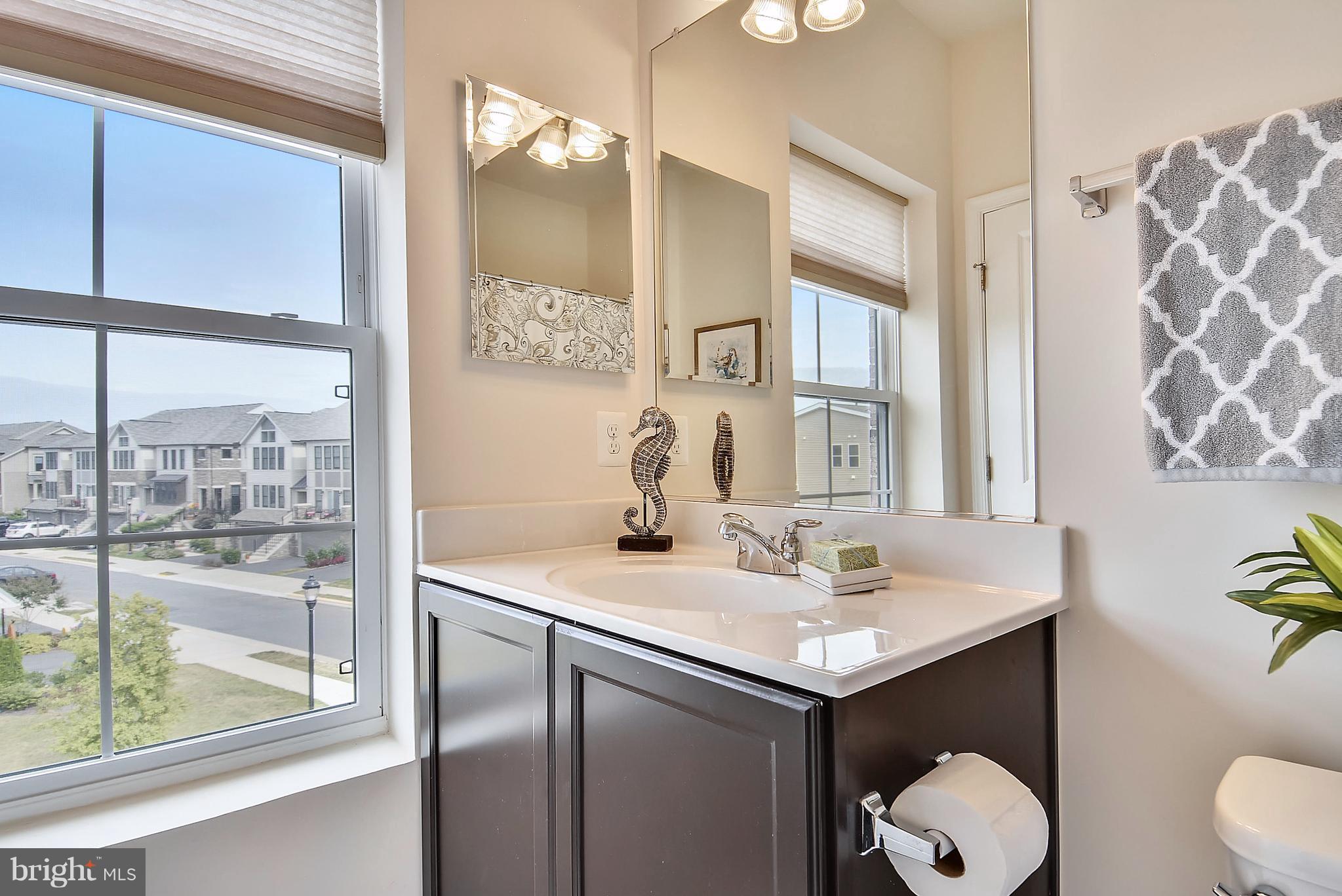 42293 Riggins Ridge Terrace Ashburn, VA 20148 - Photo 18 of 27 EnSuite Bath with Window