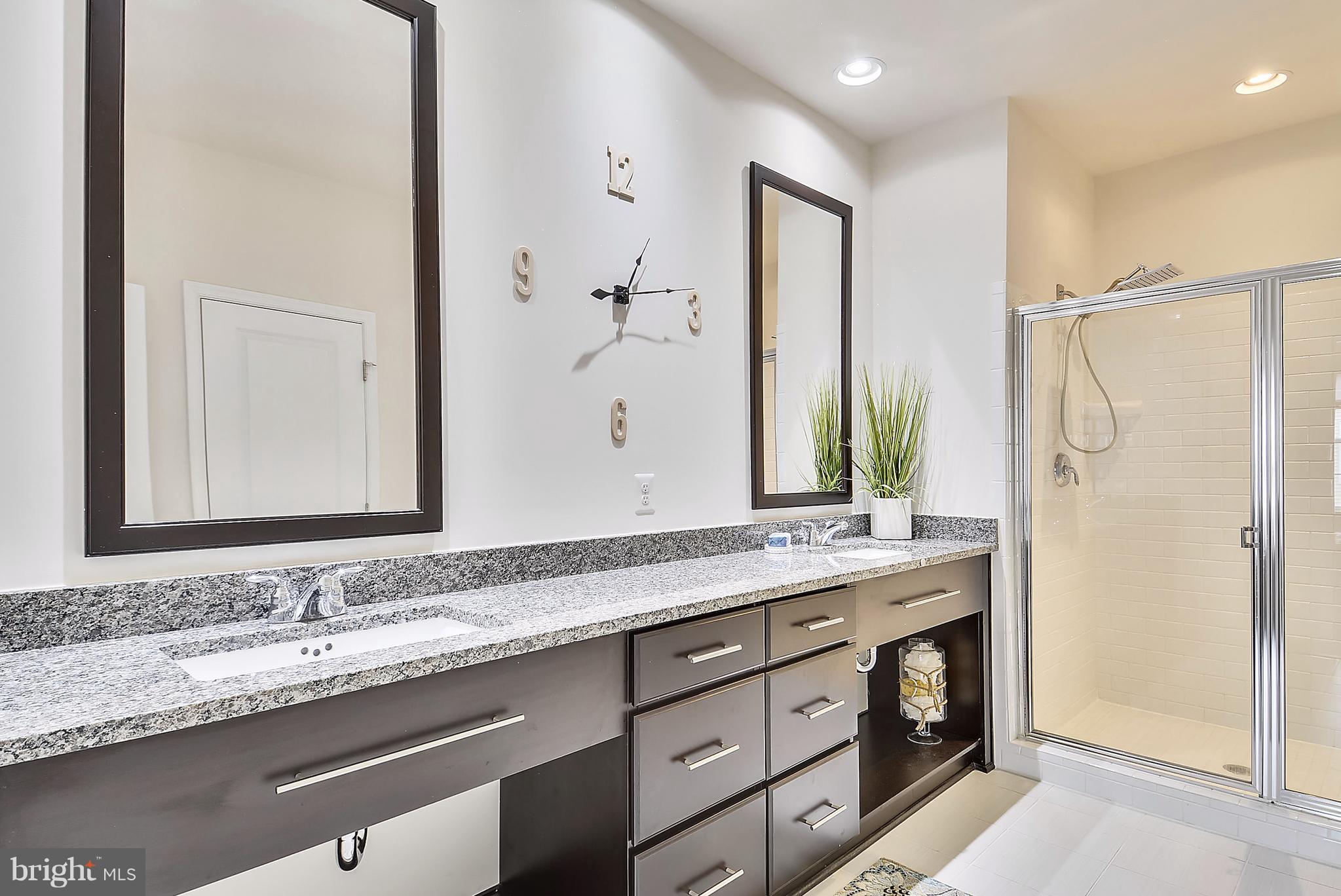 42293 Riggins Ridge Terrace Ashburn, VA 20148 - Photo 6 of 27 Spa Like Master Bath