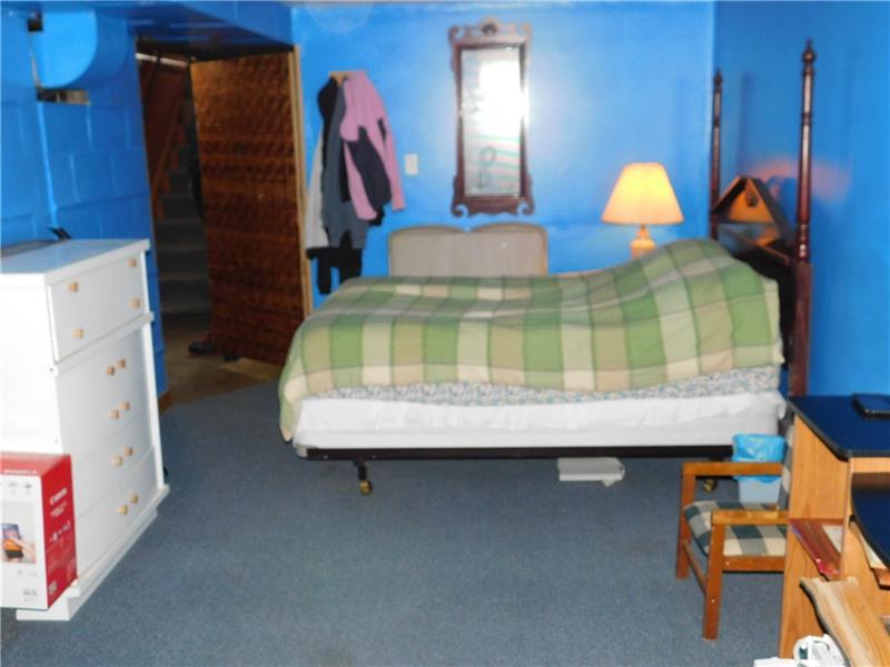46 Evergreen Road Greenville, PA 16125 - Photo 18 of 21 LOWER LEVEL F.R./ OR EXTRA B.R.