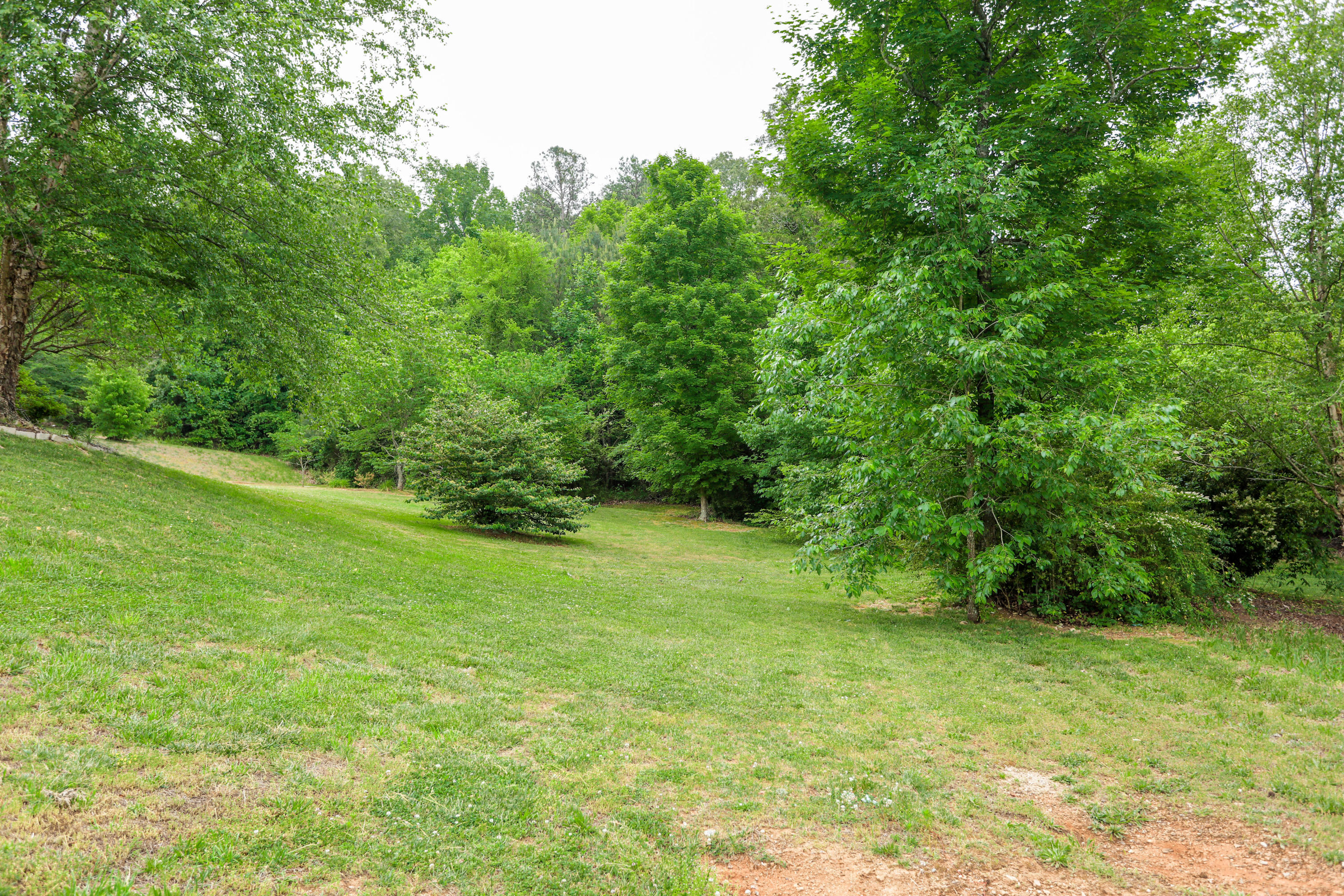 0 Buster Ridge Lane, Unit 44 Ringgold, GA 30736 - Photo 1 of 7 7C9A9484-HDR