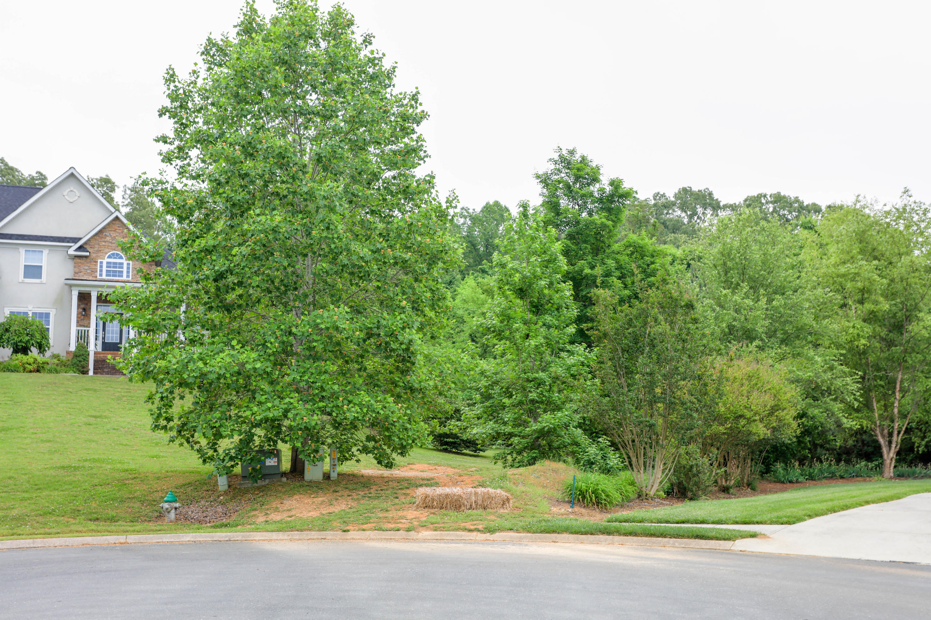 0 Buster Ridge Lane, Unit 44 Ringgold, GA 30736 - Photo 3 of 7 7C9A9478-HDR