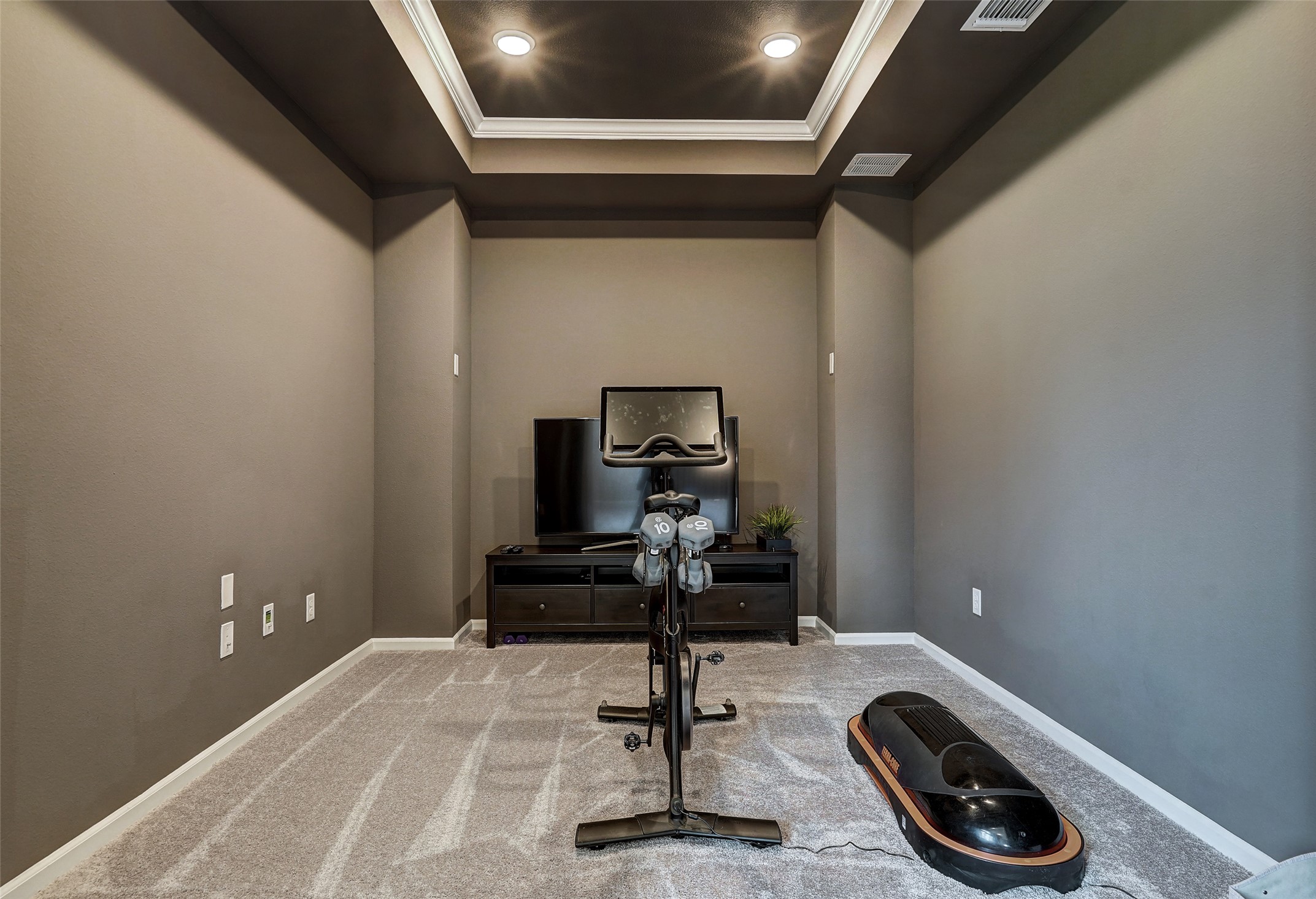 720 Rawson Bend Austin, TX 78738 - Photo 29 of 40 Exercise room with carpet, ornamental molding, and a tray ceiling
