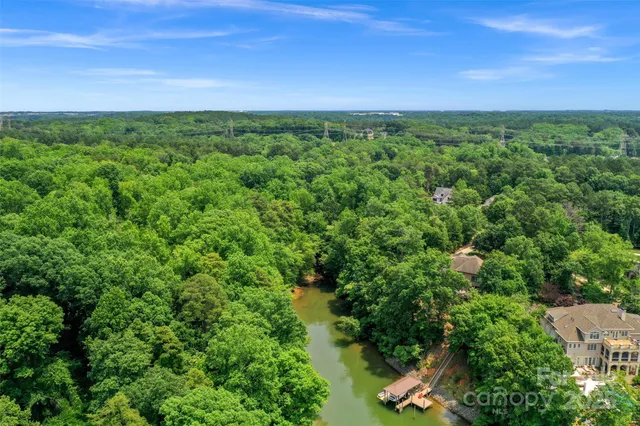 an aerial view of green landscape with trees houses and mountain view