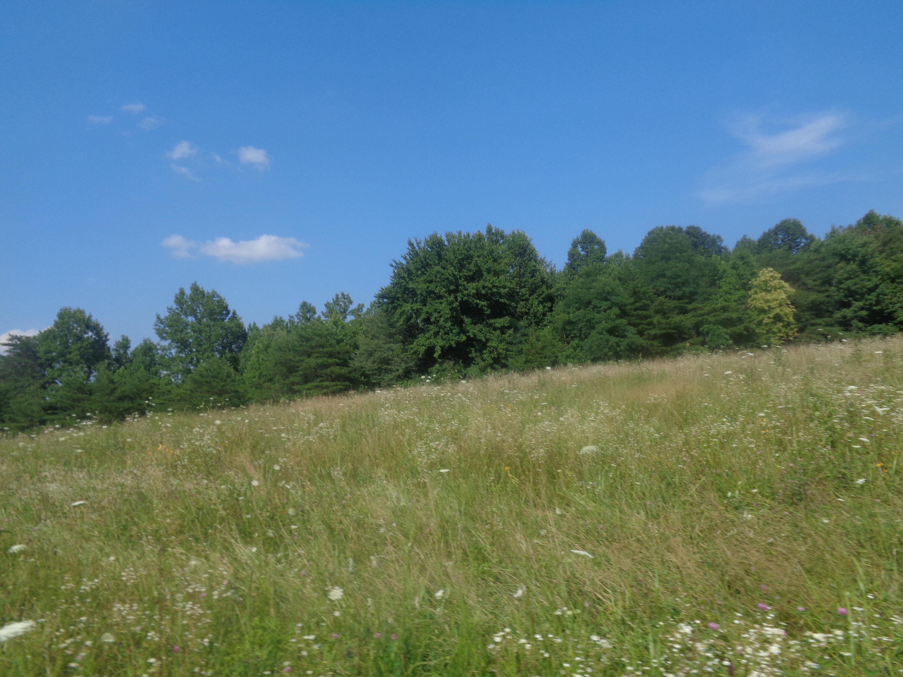 1468 County Farm Road London, KY 40741 - Photo 5 of 26 DSC05390