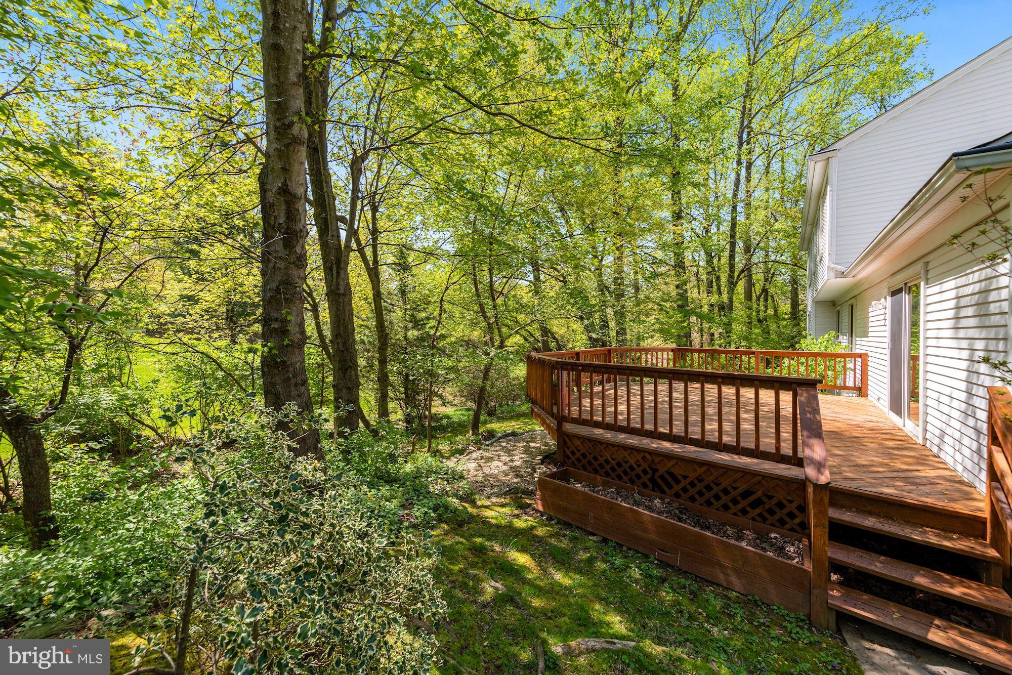 11321 Classical Lane Silver Spring, MD 20901 - Photo 29 of 35 a view of a bench in the backyard